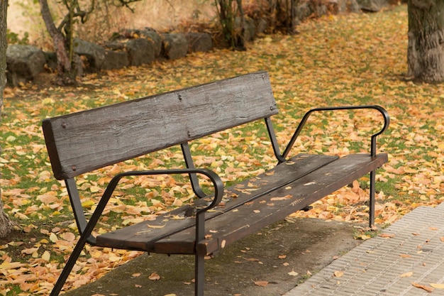 banco vazio no parque durante o outono