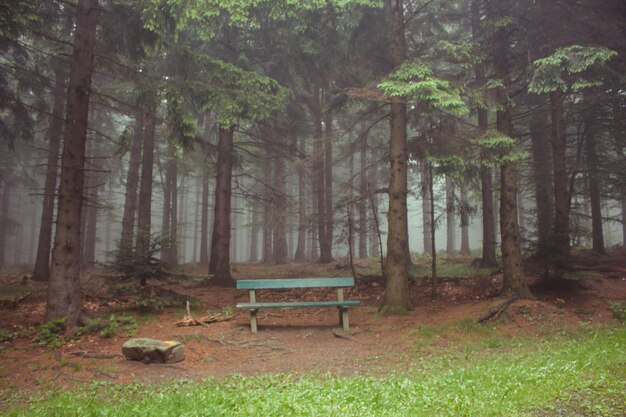 Foto banco vazio no parque .