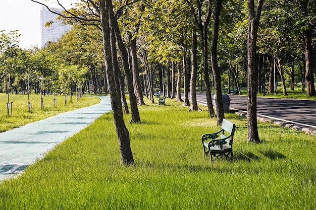 Banco verde viejo en el campo de hierba en el parque con el carril de la bici. Ocio, concepto de estilo de vida.