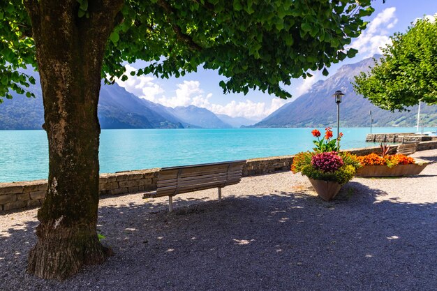 Foto banco con vistas a brienzersee en la ciudad suiza de brienz, cerca de interlaken, suiza