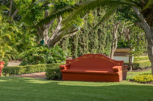 Foto bancos de hormigón de color terracota con árboles en el fondo y el cielo azul