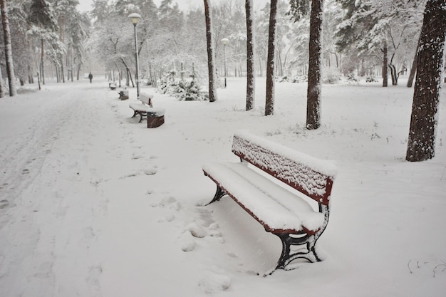 Bancos no parque da cidade de inverno cheios de neve