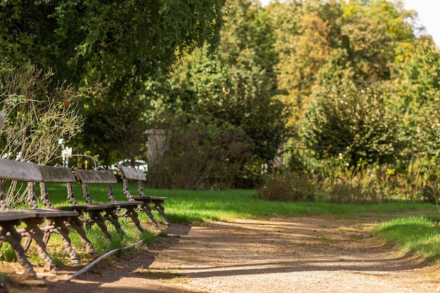 Bancos de paisaje en un parque de madera Hermosa naturaleza de verano Sofiyivka