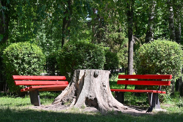 Bancos para descanso no parque da cidade de Ternopil