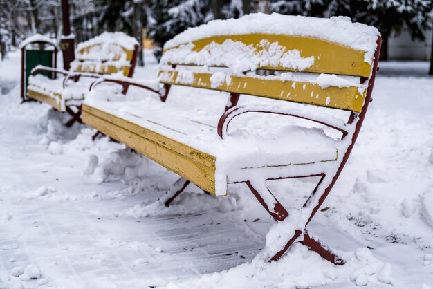 Bancos de parque de madera amarillos cubiertos de nieve