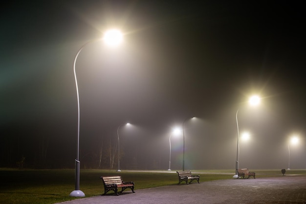 Bancos en el parque nocturno brumoso con luces altas