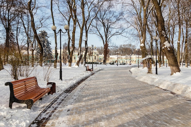 Bancos vacíos cubiertos de nieve en Winter Park