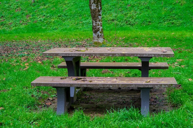 Bancos vacíos con mesas para que los turistas descansen sobre la hierba verde cerca del río Un lugar de descanso para turistas y viajeros