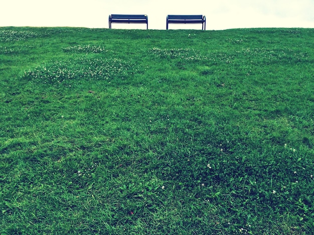 Foto bancos vazios por um campo de grama