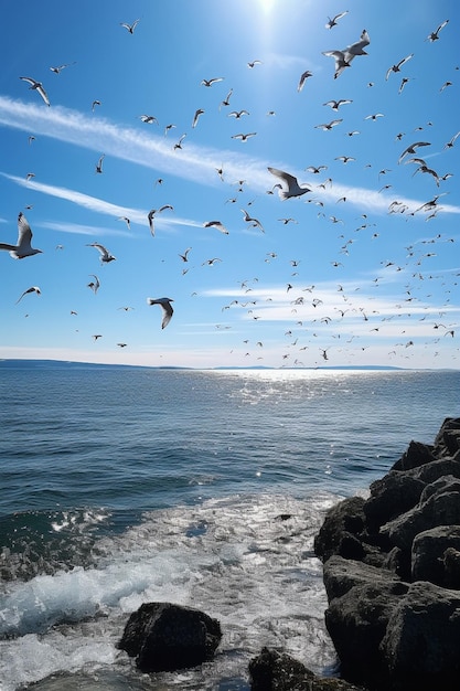 Una bandada de gaviotas vuela sobre el agua y el cielo es azul.