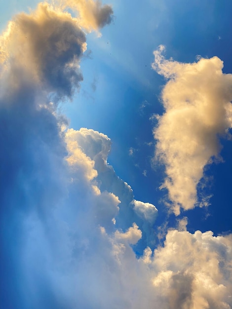 bandada de pájaros en el cielo azul hermosa foto imagen digital