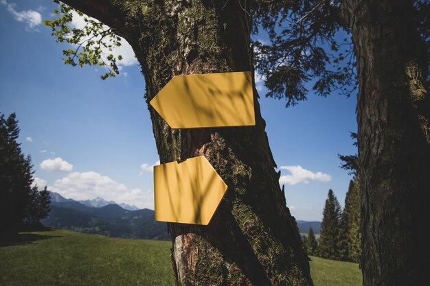 Foto bandeira amarela em meio a árvores no campo contra o céu