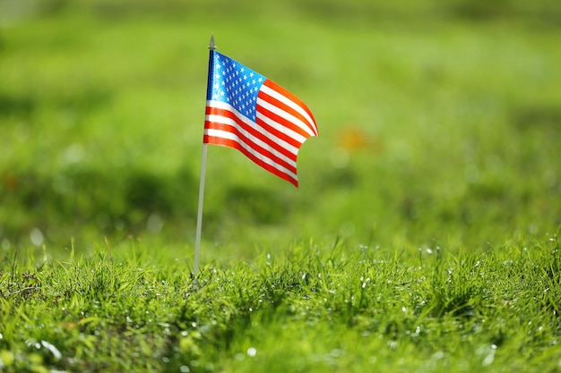 Bandeira americana na grama verde closeup