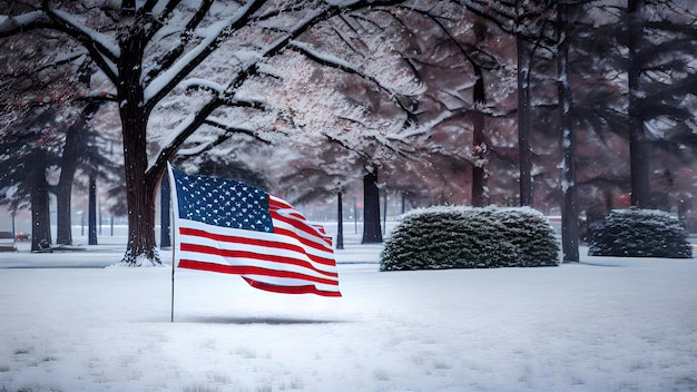 bandeira americana na neve