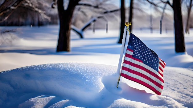 bandeira americana na neve