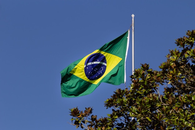 Bandeira brasileira voando no vento Ordem e progresso da tradução