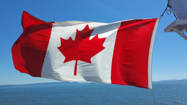 Bandeira canadense agitando contra o mar