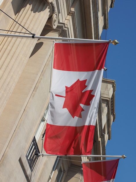 Bandeira canadense do canadá