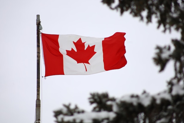 Bandeira canadense soprando no vento no inverno Dia do Canadá