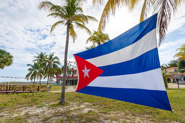 Bandeira cubana entre palmeiras Linda paisagem tropical ao fundo Bandeira cubana contra palmeiras tropicais e céu azul