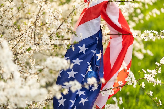 Bandeira da América no fundo de uma árvore florida. Política, aprendendo uma língua estrangeira. 4 de julho. Dia da Memória