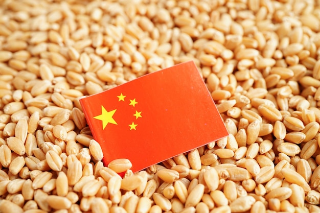 Bandeira da China sobre o conceito de exportação e economia do comércio de trigo de grãos