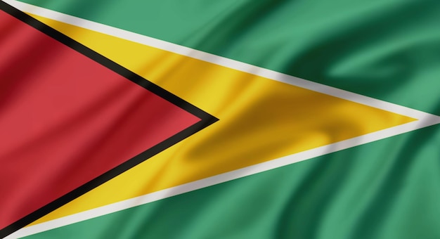 Bandeira da Guiana