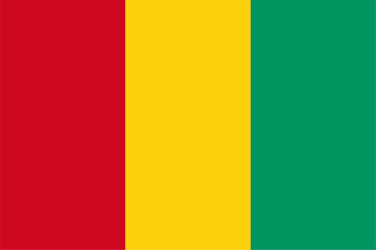 Foto bandeira da guiné