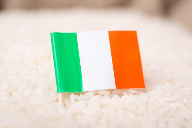Bandeira da Itália no conceito de arroz de cultivo de arroz no conceito de agronegócio da Itália