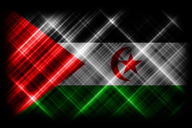 Bandeira da República Árabe Sahrawi Democrática, bandeira nacional, fundo da bandeira moderna