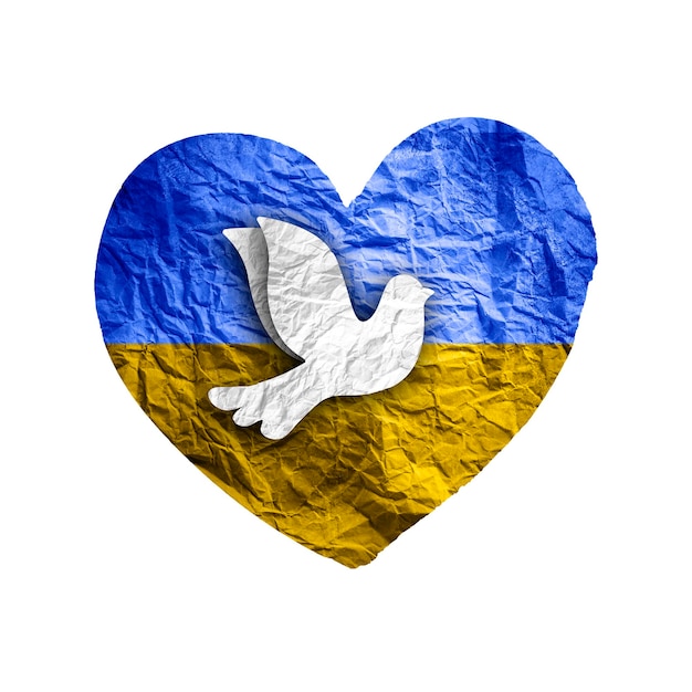 Bandeira da Ucrânia em forma de coração de papel com pomba da paz isolada em branco