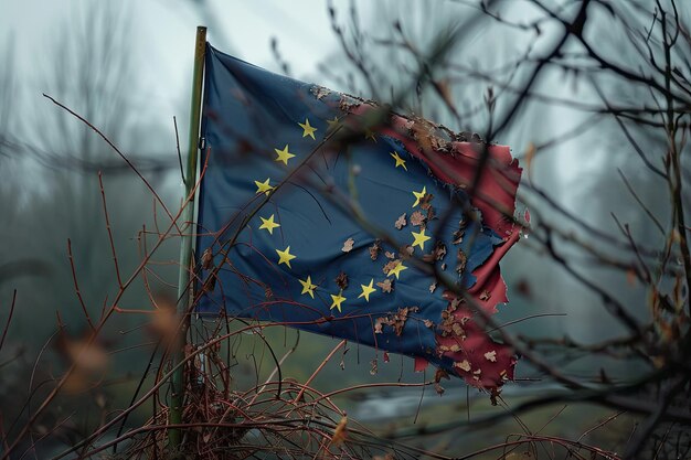 Foto bandeira da ue símbolo da bandeira da ue