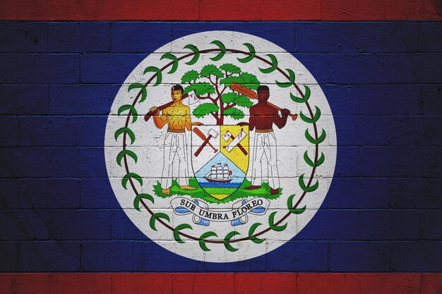 Bandeira de Belize pintada em uma parede