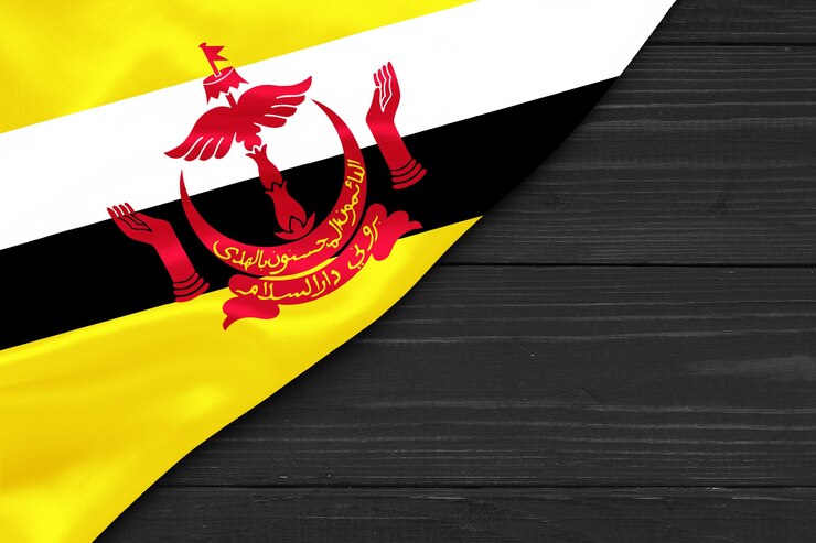Foto bandeira de brunei copiar espaço