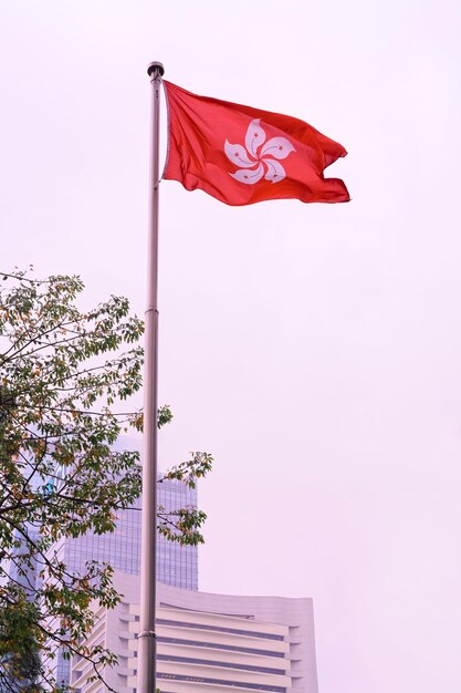 Bandeira de Hong Kong durante o nevoeiro. Arranha-céus ao fundo, centro de Hong Kong