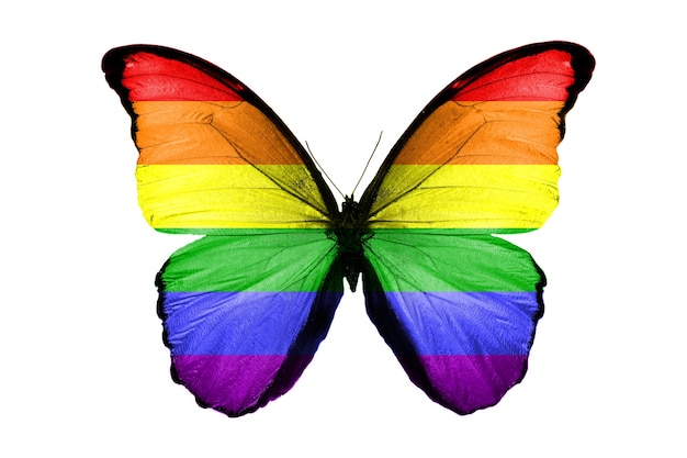 Bandeira de LGBT nas asas de uma borboleta. isolado em fundo branco