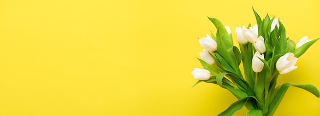 Bandeira de primavera buquê de tulipa branca em fundo amarelo iluminante. páscoa e cartão de felicitações de primavera