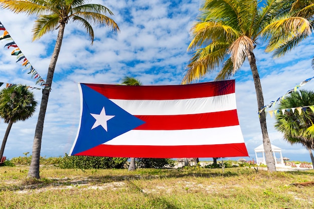 Bandeira de Puerto Rico entre palmeiras. Bandeira porto-riquenha contra palmeiras tropicais e céu azul. Bela paisagem tropical ao fundo.