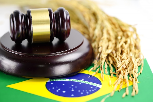 Foto bandeira do brasil e martelo do juiz