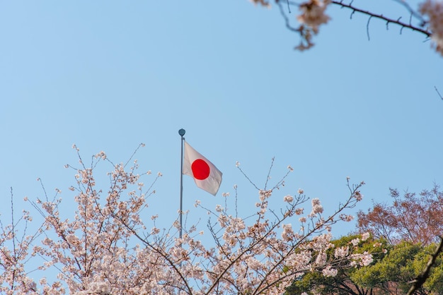 Bandeira do Japão com flores de cerejeira Tóquio Japão