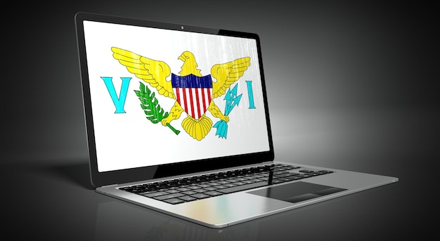 Bandeira do país das Ilhas Virgens Americanas e código binário na ilustração 3D da tela do laptop