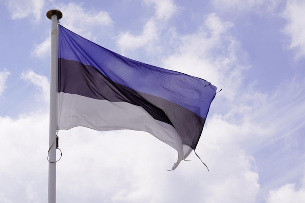 Bandeira estoniana na bandeira do estado nacional da estônia no tapete de vento com céu azul de nuvens