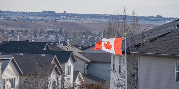 Bandeira nacional canadense Bandeira de folha de bordo voando sobre telhados de casas em Calgary