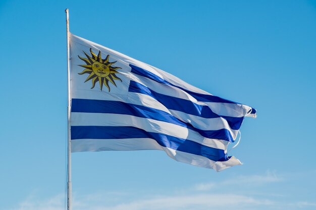 Bandeira uruguaia