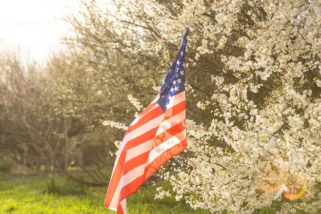 Bandeiras americanas em flores no quarto de julho