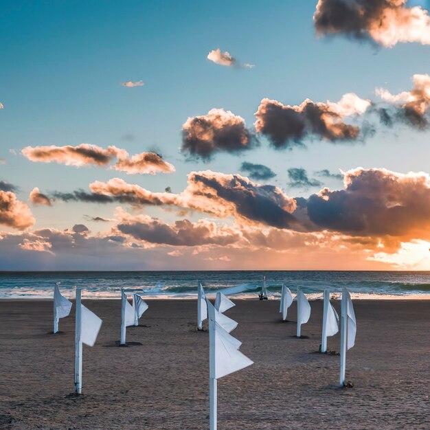 Bandeiras brancas na praia