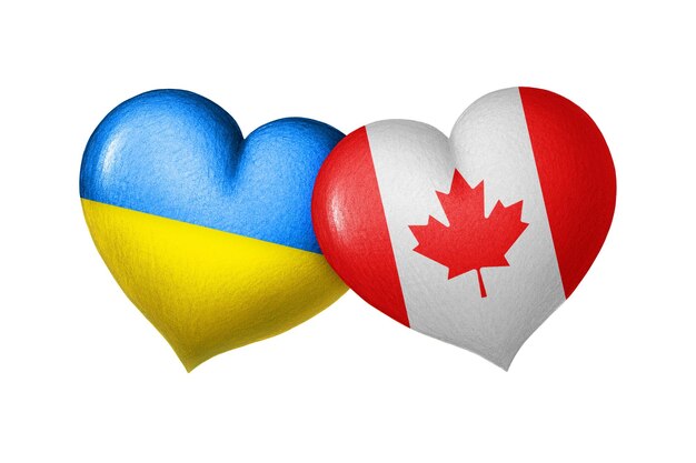 Bandeiras da Ucrânia e do Canadá Dois corações nas cores das bandeiras isoladas em um branco