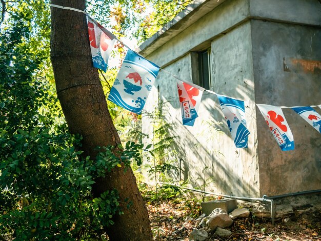 Bandeiras japonesas de sorveteria no bosque de árvores com luz solar quente