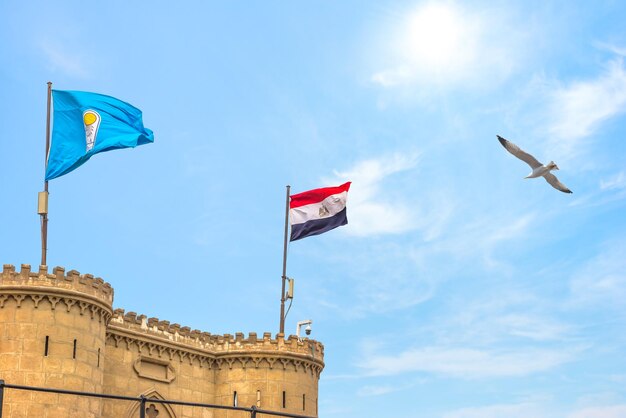 Bandeiras na torre da Cidadela do Cairo e gaivota em um fundo de céu azul