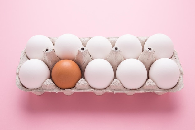 Bandeja com ovos de galinha em um fundo rosa. Um ovo marrom entre branco. O conceito de individualidade.